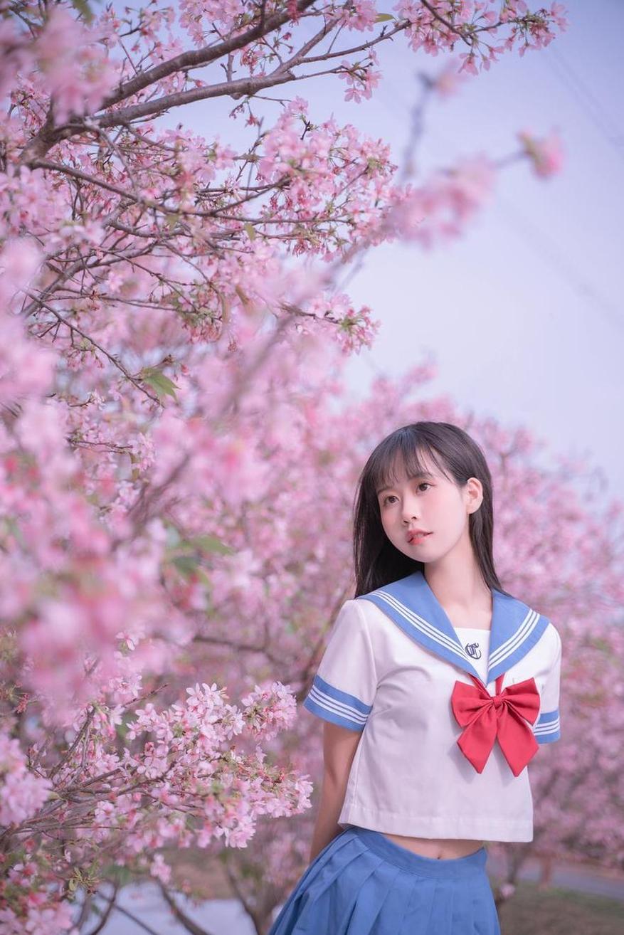 纵横各地，绽放万千惊艳的萌芽儿百合集